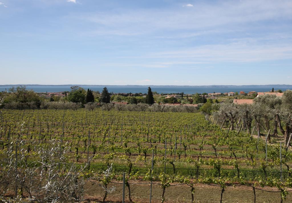 Appartamenti Bellavista Bardolino Ngoại thất bức ảnh